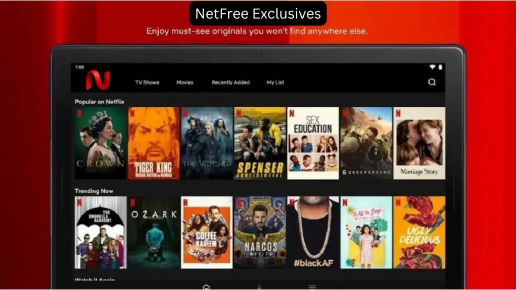 netfree